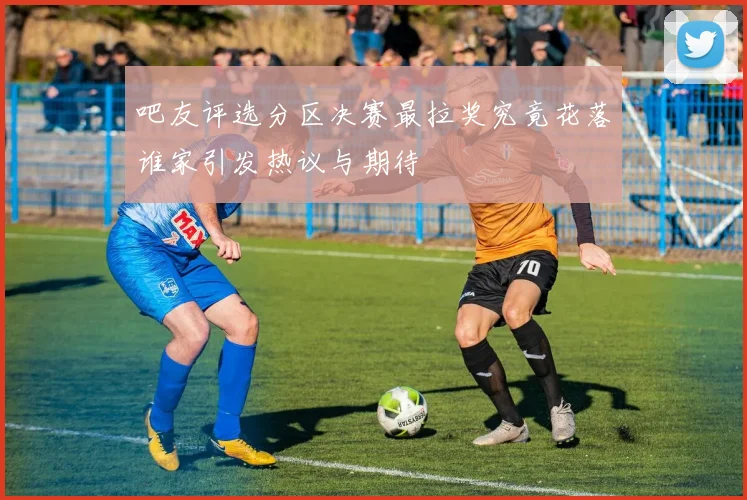 吧友评选分区决赛最拉奖究竟花落谁家引发热议与期待