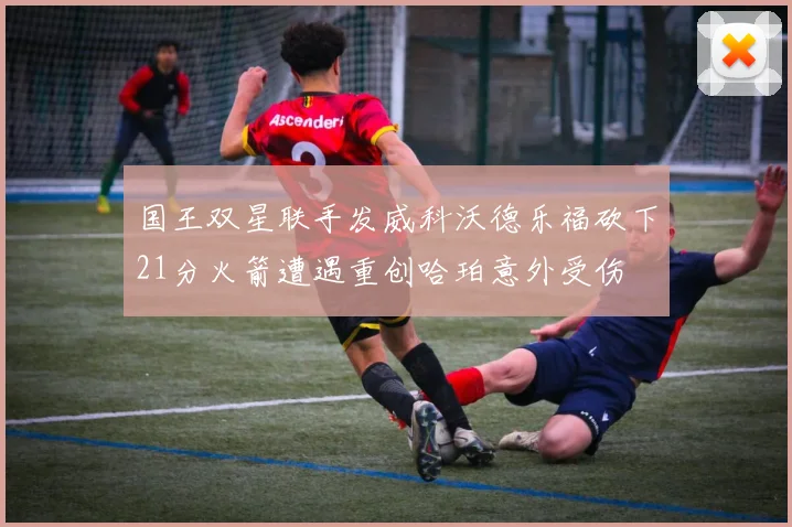国王双星联手发威科沃德乐福砍下21分火箭遭遇重创哈珀意外受伤