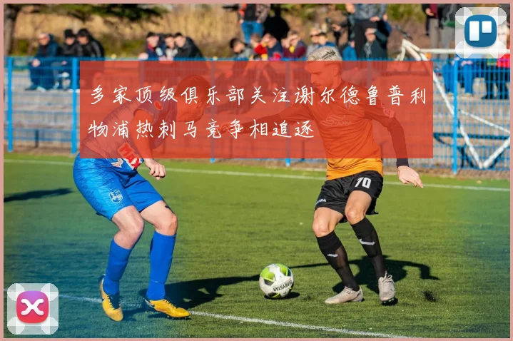 多家顶级俱乐部关注谢尔德鲁普利物浦热刺马竞争相追逐
